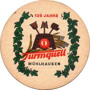 19458: Германия, Turmquell
