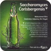 19528: Дания, Carlsberg (Турция)