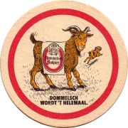 19954: Нидерланды, Dommelsch
