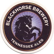 20046: США, Blackhorse