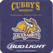 20519: USA, Budweiser