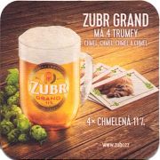 20772: Чехия, Zubr (Prerov)