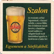20891: Венгрия, Szalon