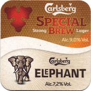 21339: Дания, Carlsberg (Италия)