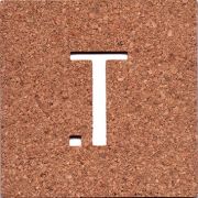 22832: Россия, Tyler