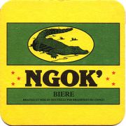 24207: Конго, Ngok