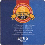 24224: Турция, Efes