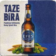 24226: Турция, Efes