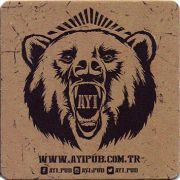 24227: Турция, Efes