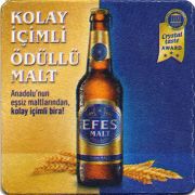 24228: Турция, Efes
