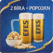 24229: Турция, Efes