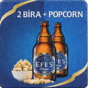 24229: Турция, Efes