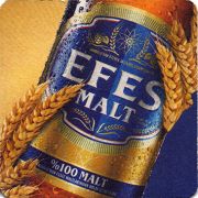 24231: Турция, Efes