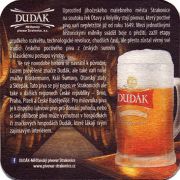 24305: Чехия, Dudak