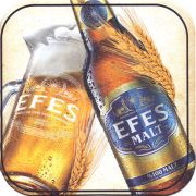 24837: Турция, Efes