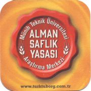 24876: Дания, Tuborg (Турция)