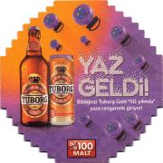 24972: Дания, Tuborg (Турция)