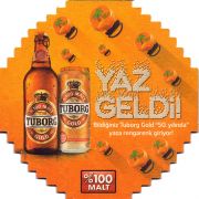 24974: Дания, Tuborg (Турция)