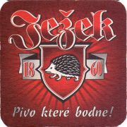 25446: Czech Republic, Jezek