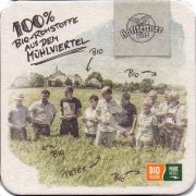 25699: Австрия, Hofstettner