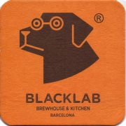25707: Spain, Black lab