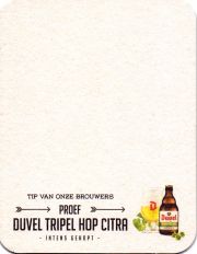 27497: Бельгия, Duvel