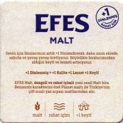 27569: Турция, Efes