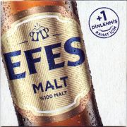 27571: Турция, Efes