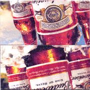 27673: USA, Budweiser