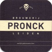 28118: Нидерланды, Pronck