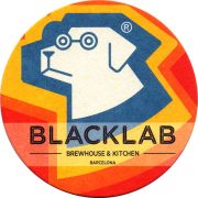 29050: Spain, Black lab