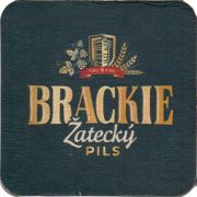31137: Польша, Brackie