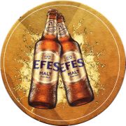 31158: Турция, Efes