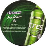 31162: Турция, Efes