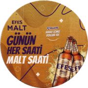 31169: Турция, Efes