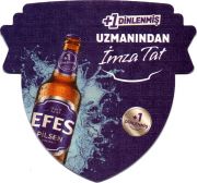 31172: Турция, Efes