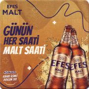 31189: Турция, Efes