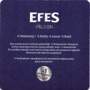 31191: Турция, Efes