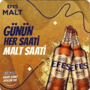 31194: Турция, Efes