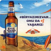 31195: Турция, Efes