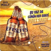 31203: Турция, Efes