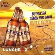 31204: Турция, Efes