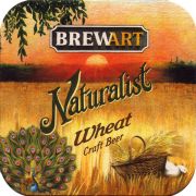 31263: Кипр Северный, Brewart