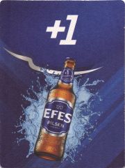 31298: Турция, Efes