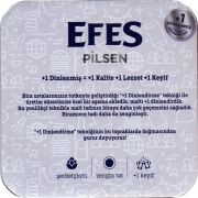 31305: Турция, Efes