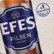 31307: Турция, Efes