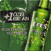 31308: Турция, Efes