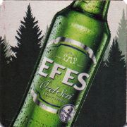 31309: Турция, Efes