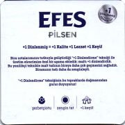 31311: Турция, Efes