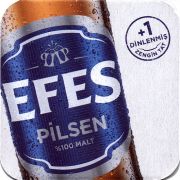 31313: Турция, Efes